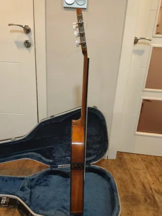 Guitarra del luthier Antonio Pinto