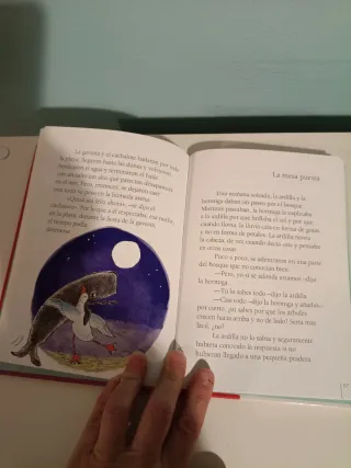 La fiesta de cumpleaños (Librosaurio) (Spanish ...