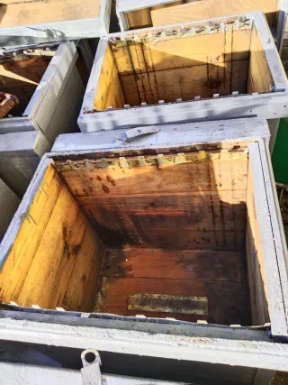 Colmenas Layen 10 cuadros (x5)