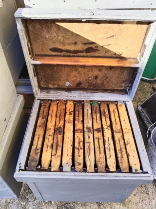 Colmenas Layen 10 cuadros (x5)