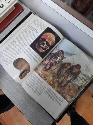 La nueva historia de Adan y Eva