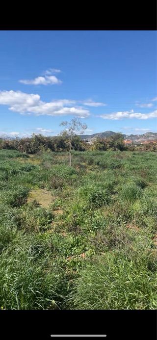 Terreno con invernadero en Castellón