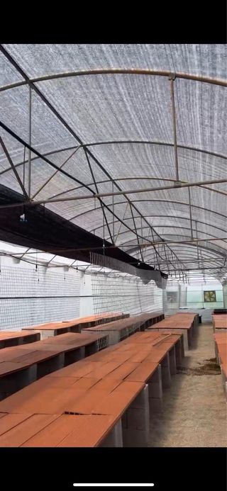 Terreno con invernadero en Castellón