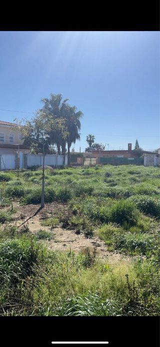 Terreno con invernadero en Castellón