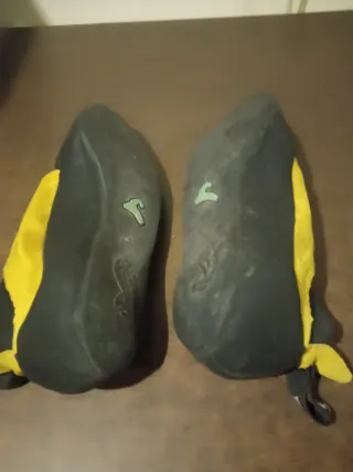 Dos peus de gat boreal un de bota i un ninja,