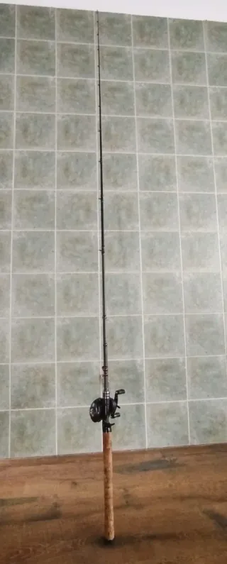 Caña Dobins 7.4 Heavy + Carrete Abu García Revo