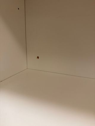 2 Estanterías Blancas de Ikea