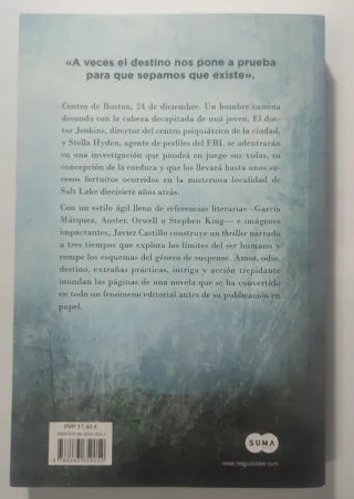 El día que se perdió la cordura. Novela