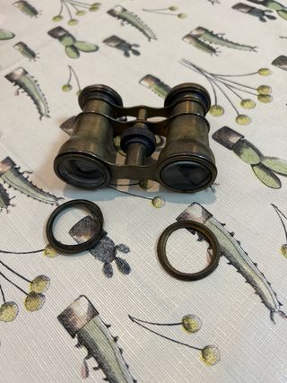 Binoculares Antiguos Bronce