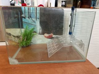 Acuario para tortugas con accesorios