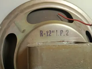 Pareja Altavoces 12 Neodimio