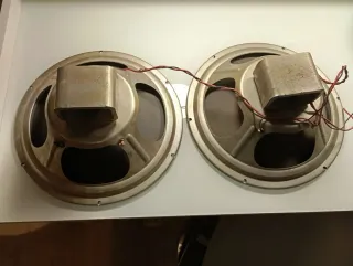 Pareja Altavoces 12 Neodimio