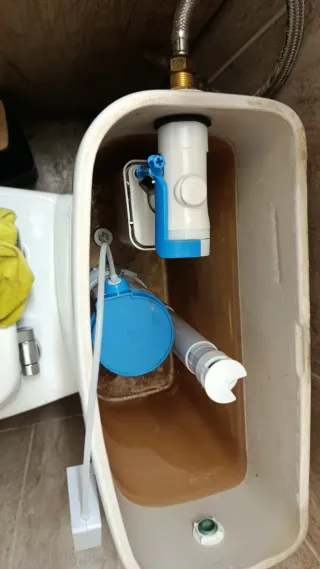 Servicios salazar