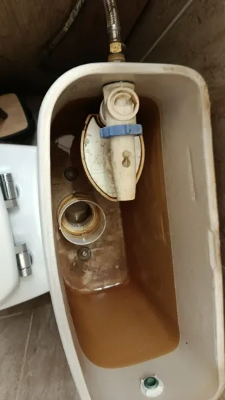 Servicios salazar