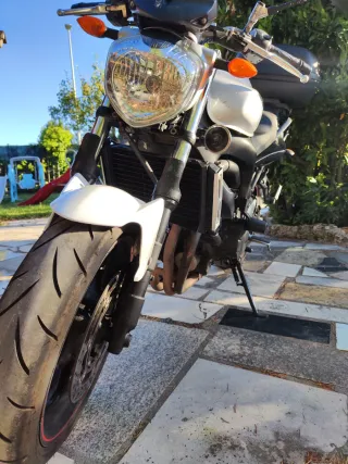 Yamaha FZ6