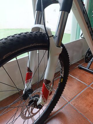 Bicicleta Orbea Occam