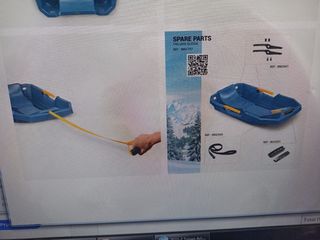 Trineo de nieve. Alquiler