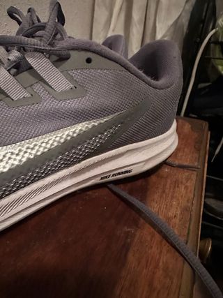 Zapatillas Nike Running Gris y Plateado