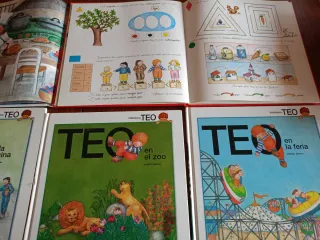 Libros de Teo. Lote