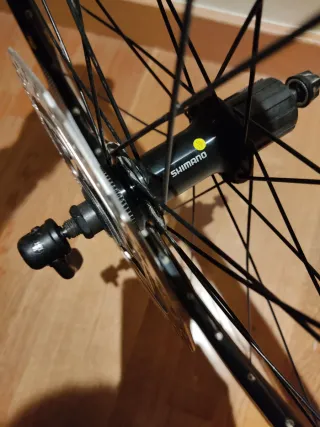 Llanta Trasera 29 con Disco