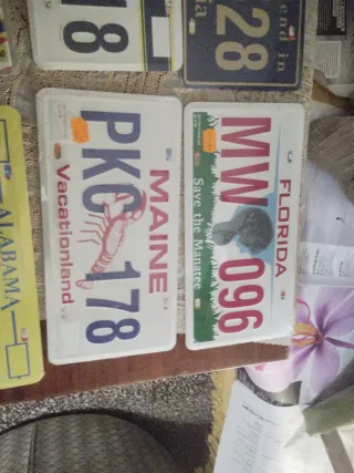 Lote placas de matrícula decorativas (varias).