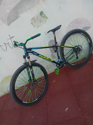 Bici Wilier Triestina 503 Stunt