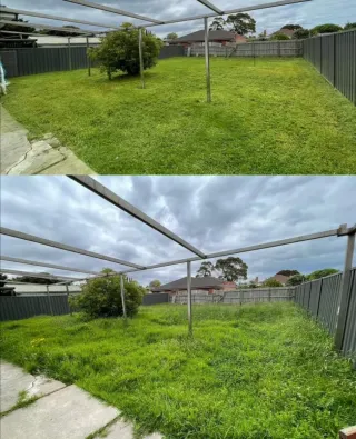 Limpieza de parcelas