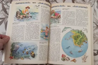 Libro 366 e più domande e risposte