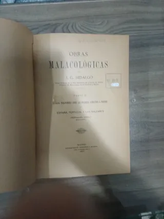 Moluscos Terrestres y Marinos de España J. Hidalgo