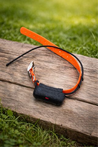 Garmin DC40 collar localizador reacondicionado