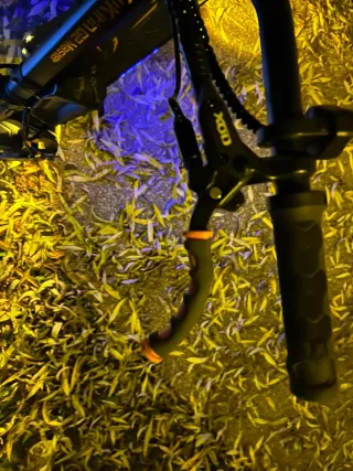 Patinete eléctrico Kukirin G2 Master