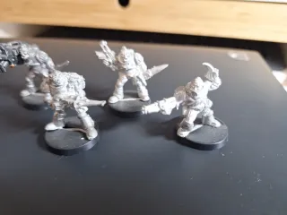 Warhammer 40k Exploradores Marines Rogue Trader