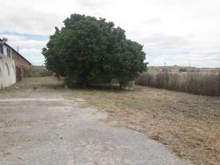 JARDINERO DE CONFIANZA EN TOLEDO