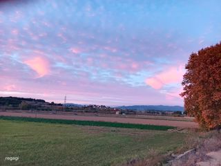 Correa de mano gris para cámara