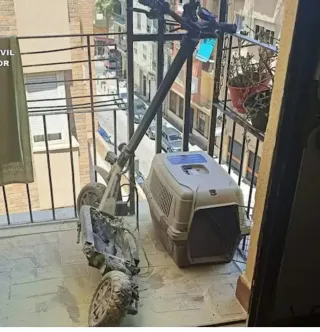 Patinete para repuestos (sin batería)