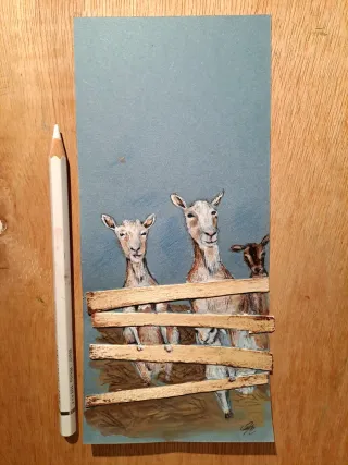 Disegno capre acrilici dietro staccionata in legno