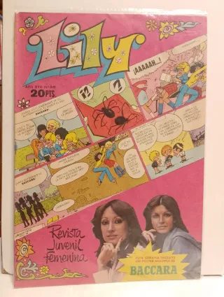LOTE 40 TEBEOS LILY.