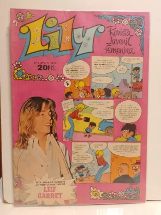 LOTE 40 TEBEOS LILY.
