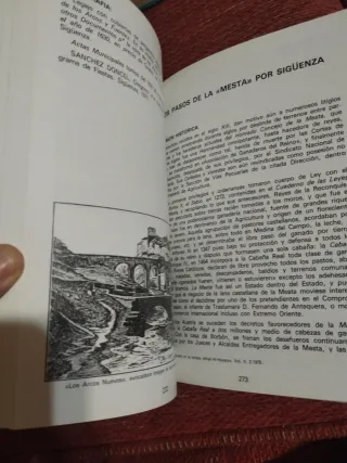 Sigüenza. historia, arte, folklore