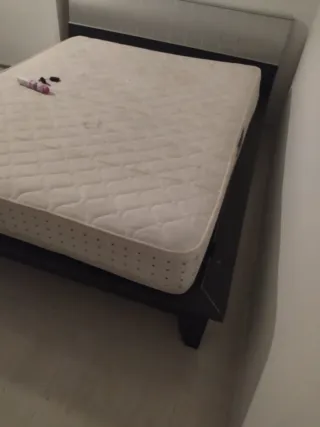 Somier + Estructura Cama + Colchón