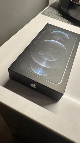 iPhone 12 Pro Max 256 GB Blanco