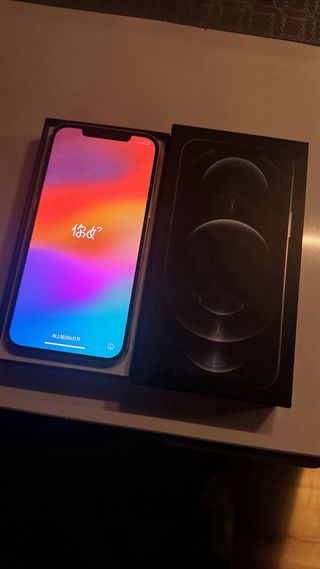 iPhone 12 Pro Max 256 GB Blanco