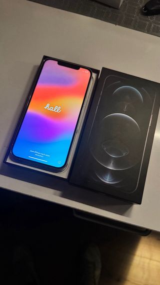 iPhone 12 Pro Max 256 GB Blanco