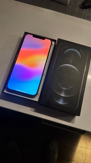 iPhone 12 Pro Max 256 GB Blanco