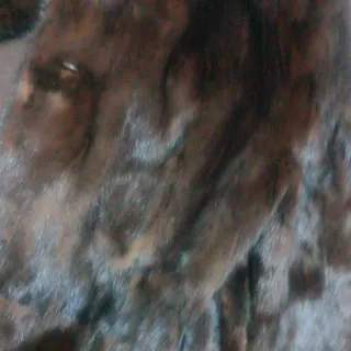 Abrigo de piel natural