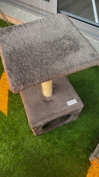 Lote accesorios para gatos