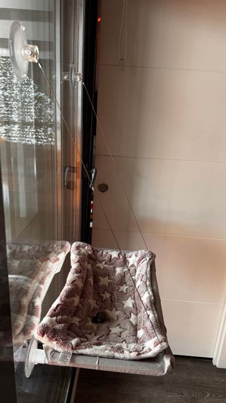 Lote accesorios para gatos