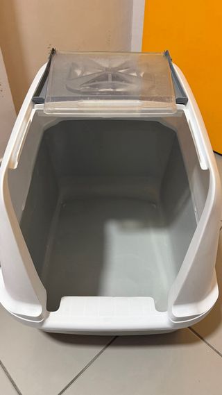 Lote accesorios para gatos