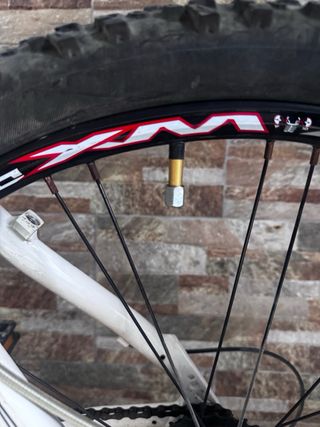 Bicicleta Moma Blanca