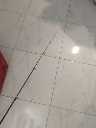 Caña de pesca y carrete